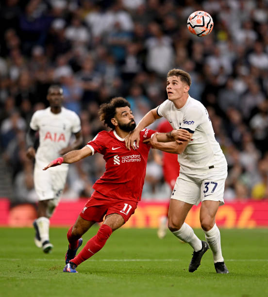 库恩的职业 库恩的职业