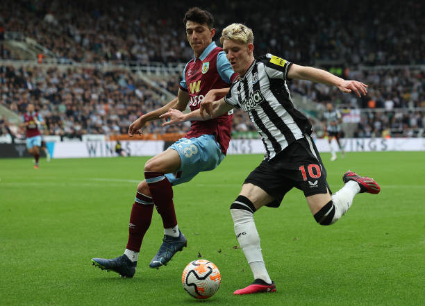 论过于尖锐 论过于尖锐